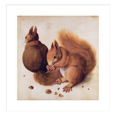 «Squirrels» par Albrecht Dürer, impression giclée sur cadre