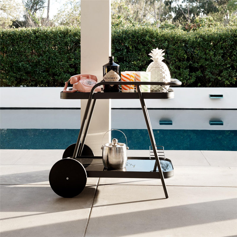 Karinah 17 Stories Bar Cart with Metal Outer Material, Black