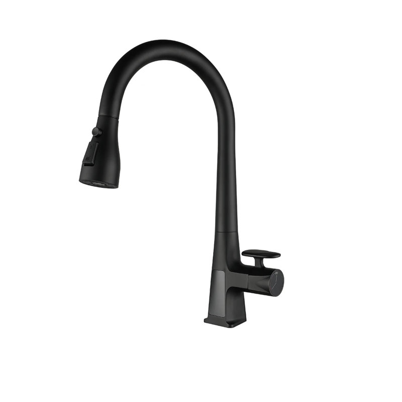 Robinet de cuisine AvaMalis, Noir mat