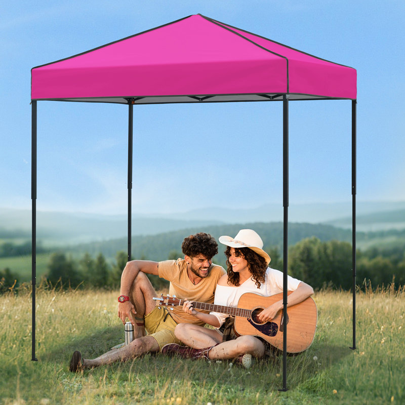 Tente d'auvent 6 x 4, auvent escamotable robuste avec sac de transport, Rose