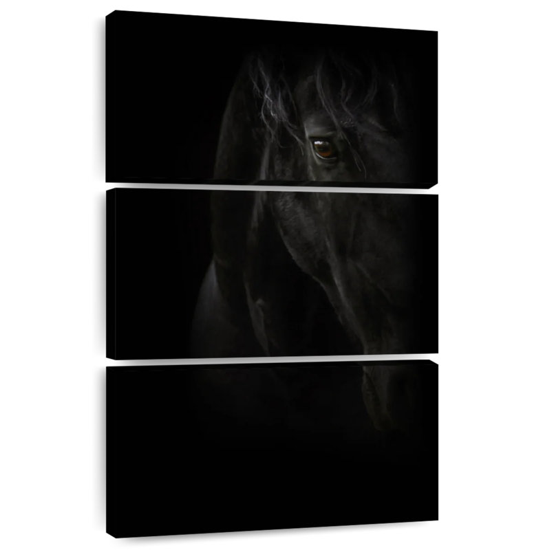 Brampt Black Pearl, 45" H x 28" W
