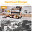 Étagère à épices, étagère à épices, étagère à épices noire à 2 niveaux, étagère à épices de cuisine, pour armoires, garde-manger, salles de bain, chambres à coucher, stations de café