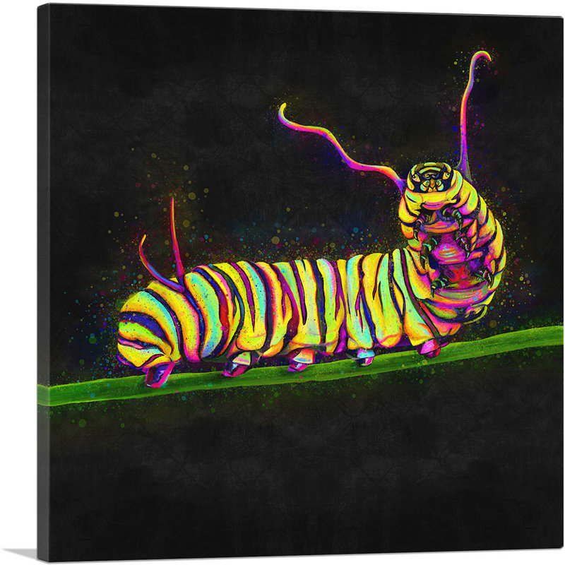 Chenille, insecte, reproduction d'art sur toile tendue, H 26 po x l 26 po x P 1,5 po