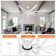 Layahna 96'' 9 Blades Indoor Ceiling Fan with Remote