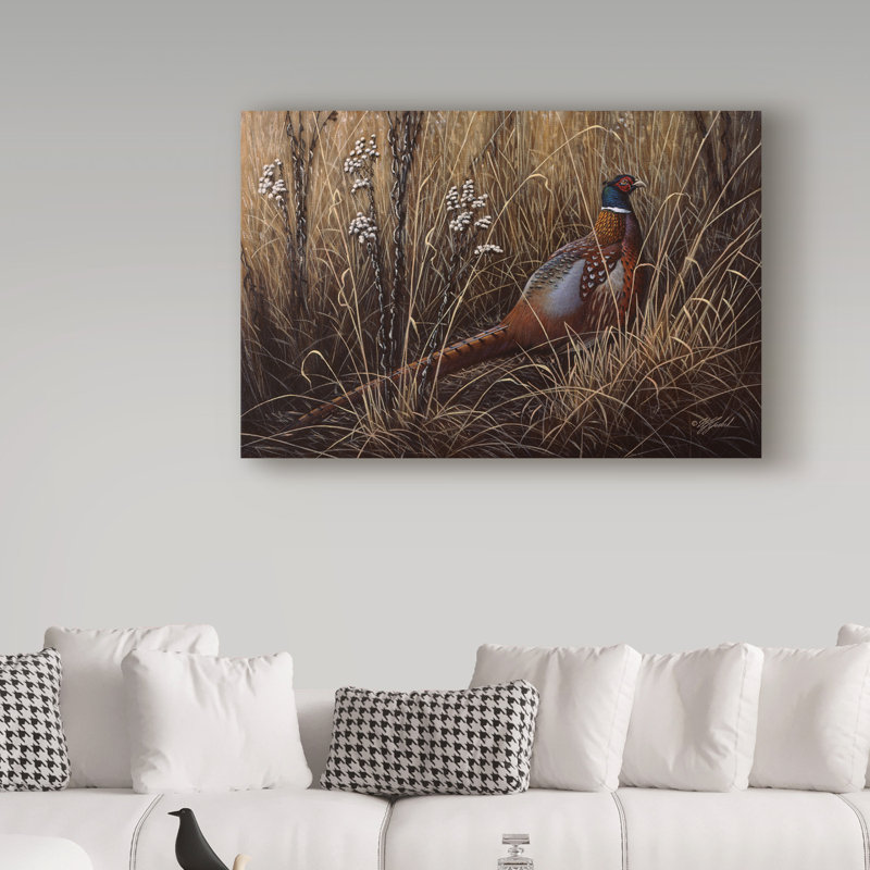 «Pheasant In The Grass» par Berrien, impression sur toile tendue, H 16 po x l 24 po x P 2 po