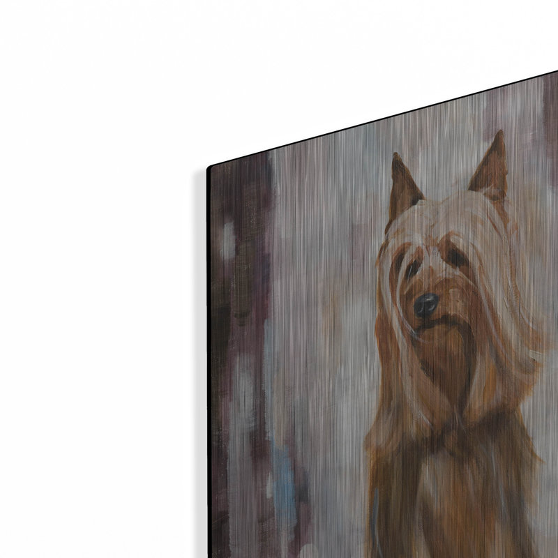 «Silky Terrier I» par Solveiga, H 24 po x l 16 po