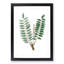 Indian Frankincense Flowers Illustration - Picture Frame Painting Print-55575979-55575980