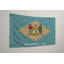 Drapeau de l'État du Delaware — Drapeau