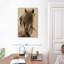 Cheval Brampt Freedom-106970519