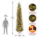 The Holiday Aisle® Carolina Pine Slim Tree with Clear Lights