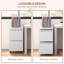 37 cm W 2 -Drawer Wheels / Casters included Mobile Steel Filing Cabinet-136843875