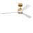 Reese Smart 52 LED Ceiling Fan