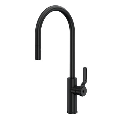 Myrina Pull-Down Single Handle Kitchen Faucet
