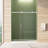 Frameless Sliding Shower Door