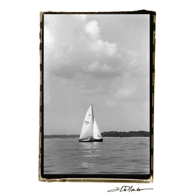 " Ocean Breeze IV " by Laura DeNardo