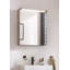 Mirrored Bathroom Cabinets with Mirror and 2 Adjustable Shelves-72250961