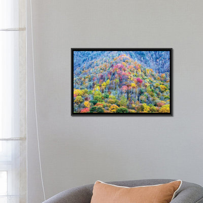 " Colorful Autumn Landscape, Great Smoky Mountains National Park, Tennessee, USA " by Jamie & Judy Wild