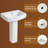 Los Flexi Rectangular Pedestal Sink 22 Inch x 17 Inch, Includes Overflow and Single Faucet Hole