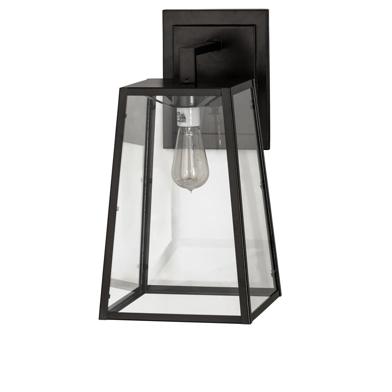 Kellie Steel Armed Sconce