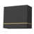 Black/Gold