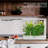 Ivation Growing Kit