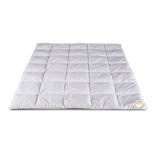 All Season Down Comforter