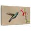Colibri buvant du nectar à bec large-107887401