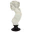 Venus de Milo Bust