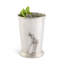 Mint Julep Cup