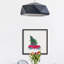 Christmas Tree Passenger II - Single Picture Frame Painting-1925031078