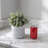 Artificial Boxwood Eucalyptus Faux Plants