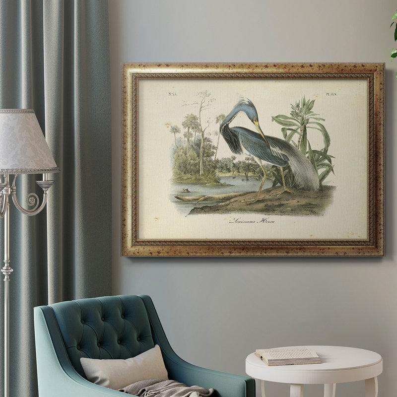 Audubons Louisiana Heron - reproduction d'art sur toile
