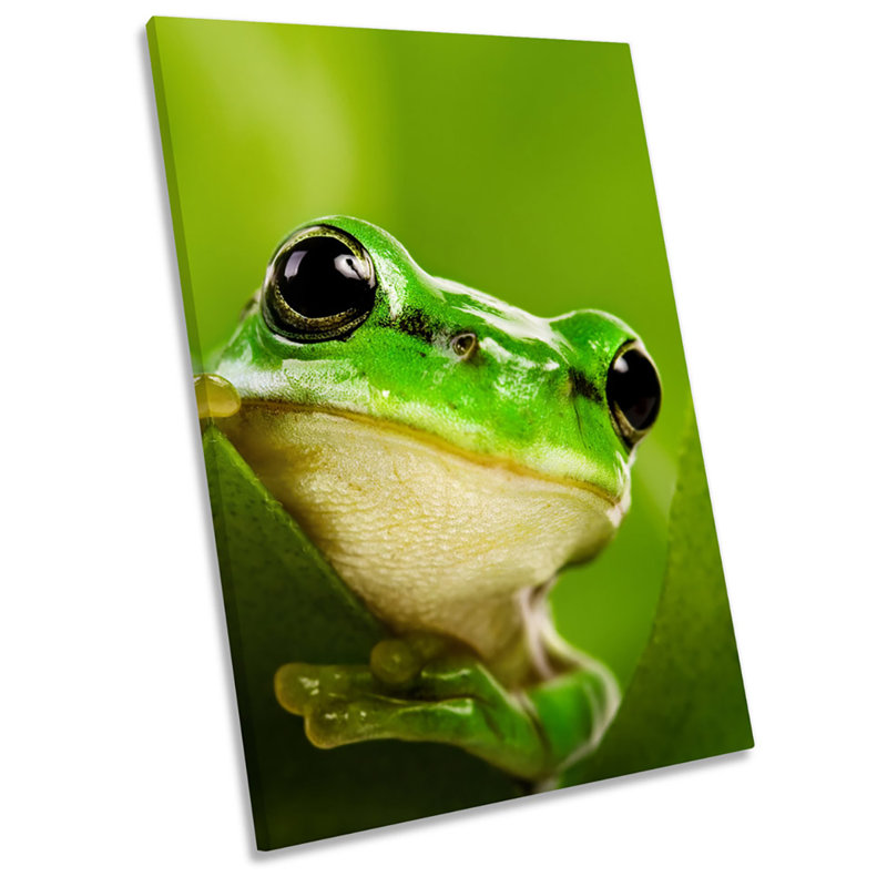 Green Frog Wildlife - Wrapped Canvas Print, 76.2cm H x 50.8cm W
