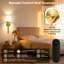 Armed Sconce
