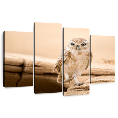 Brampt Desert Owl