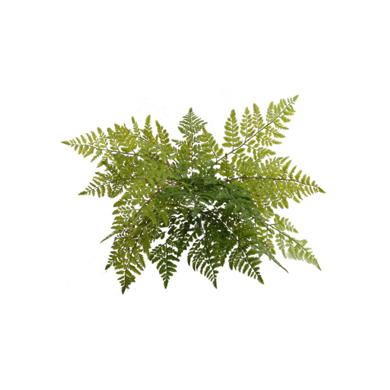 Grande plante à fougères de 28 po Melendez