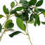 45 cm H Faux Plant-127680958