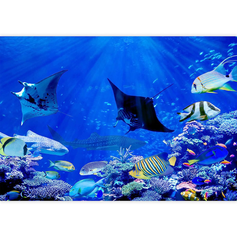 Murale à peindre sur un récif de corail bleu tropical, L 100 po x l 144 po