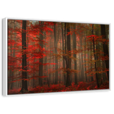 Fiery Autumn Forest