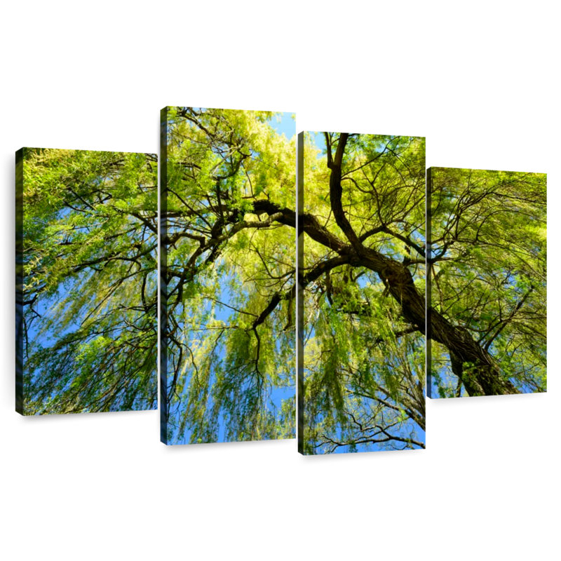 Harnek sous un saule pleureur, H 54 po x l 84 po