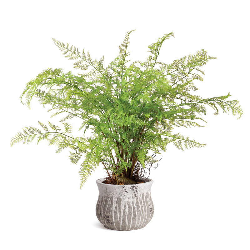 Vase de table Killam, H 10,4 po x l 12,6 po x P 12,6 po