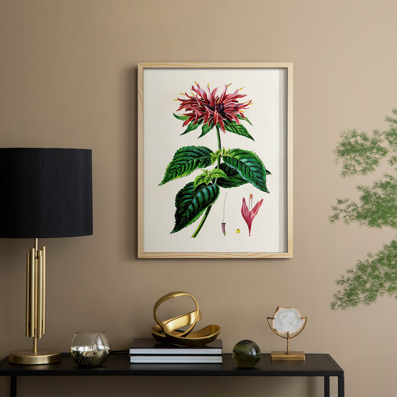 AntiqueFloralFolioI Framed Print - Solid Wood
