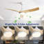 52 Inch Modern Ceiling Fan With 18W LED Light And Remote Control 3 ABS Blades DC Motor For Bedroom