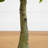 Bay Leaf Topiary Silk Tree