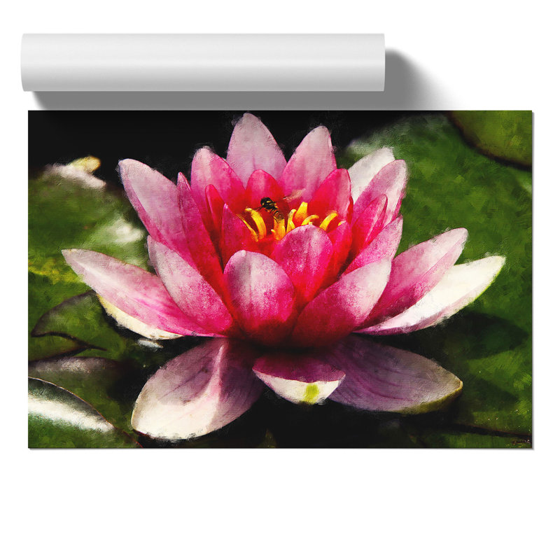 Pink Water Lily Flower Vol.3 - No Frame Print, 30cm H x 42cm W x 0.1cm D