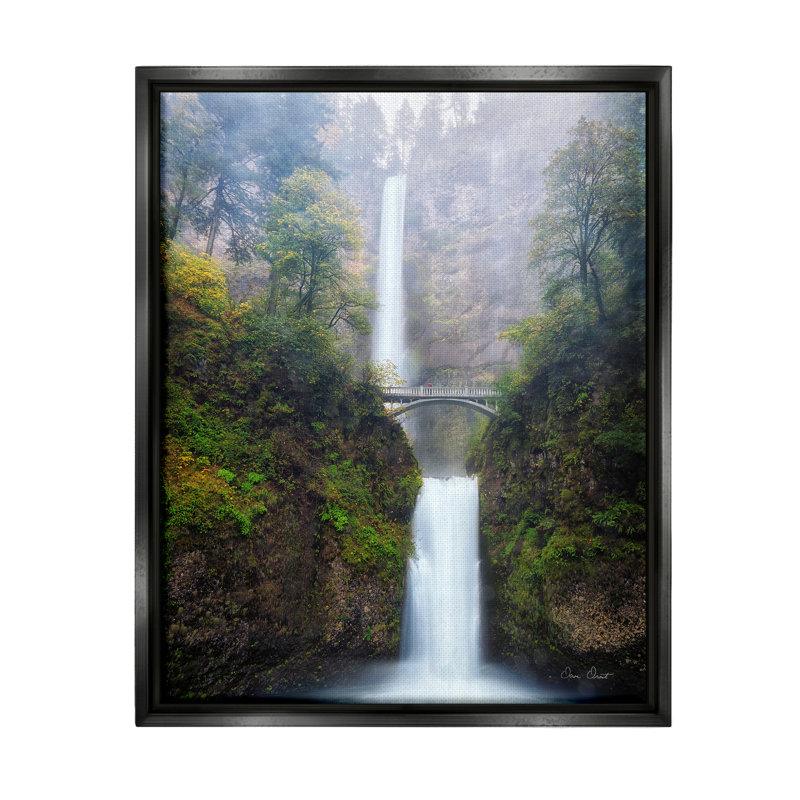 Photographie de cascade de pont sur bois par David Drost, H 21 po x l 17 po x P 1,7 po, Cadre flottant noir de jais