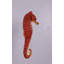 Petite statue d'hippocampe rouge