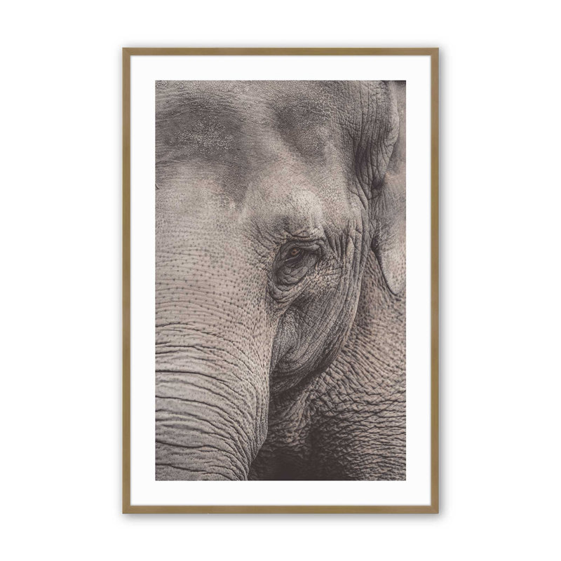 «Wise Gaze Print», dans un cadre,, Cadre en zinc patiné, H 21,25 po x l 17,25 po x P 1,25 po