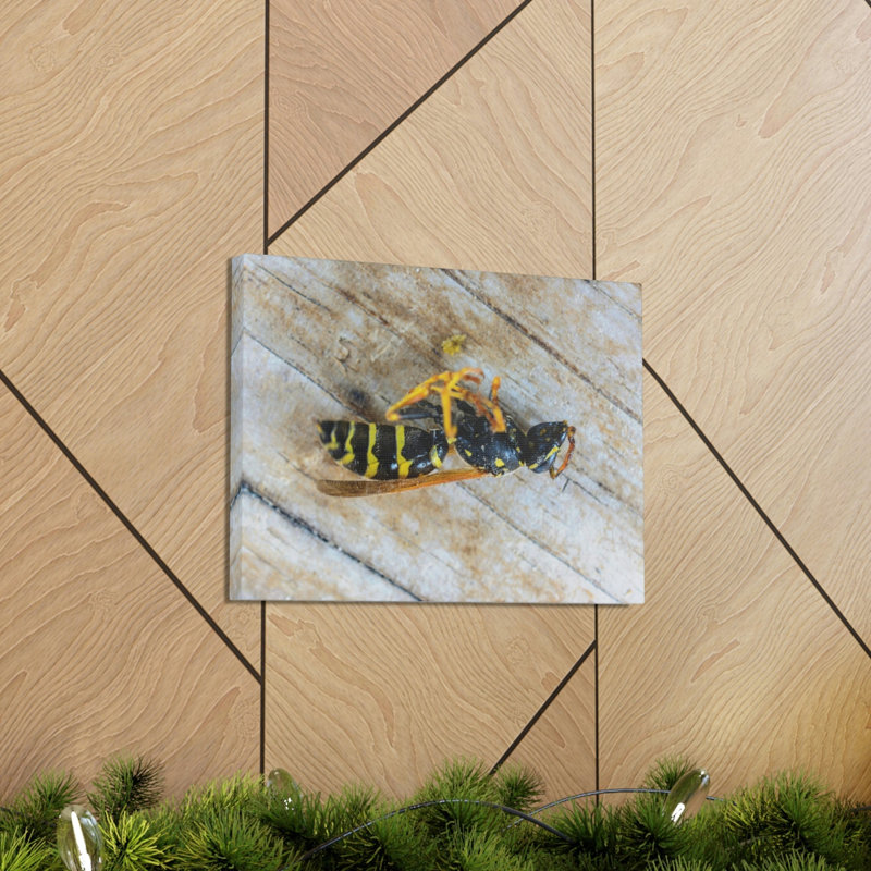 No Frame Print on Canvas, 16cm H x 12cm W