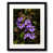 Black Framed Paper is unavailable